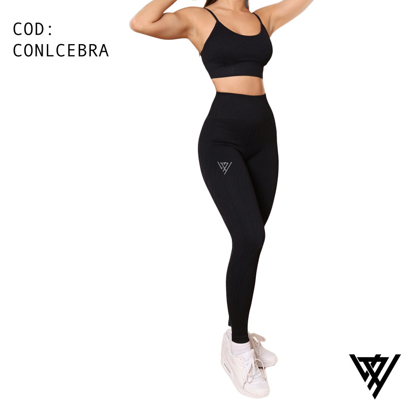 CONJUNTO CEBRA